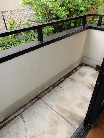 チェリーブラッサム その他23