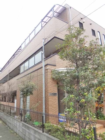 チェリーブラッサム その他25