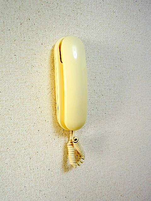 ビューパレス その他3