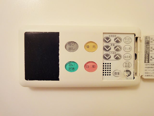 チェリーブラッサム その他15