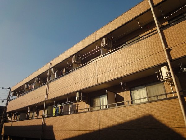 チェリーブラッサム その他18