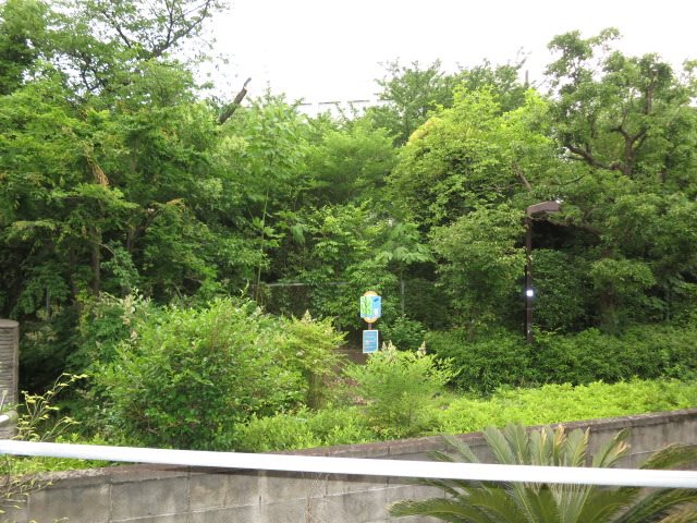 ハイツカワバタ その他2