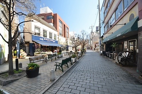 フレンシア玉川田園調布 周辺画像8