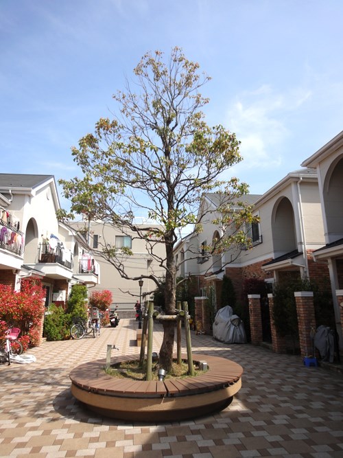 マノワールアトリオ  その他22