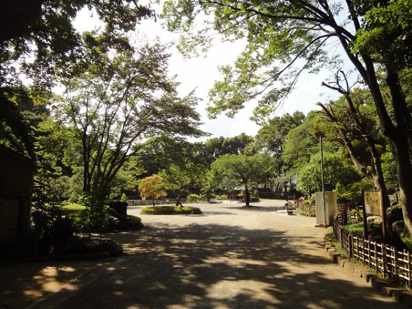 ルネッサ戸越公園  その他21