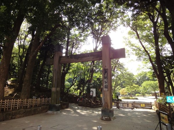 ルネッサ戸越公園 その他22