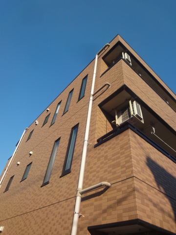 チェリーブラッサム  その他22