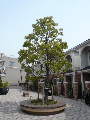 マノワールアトリオ その他12