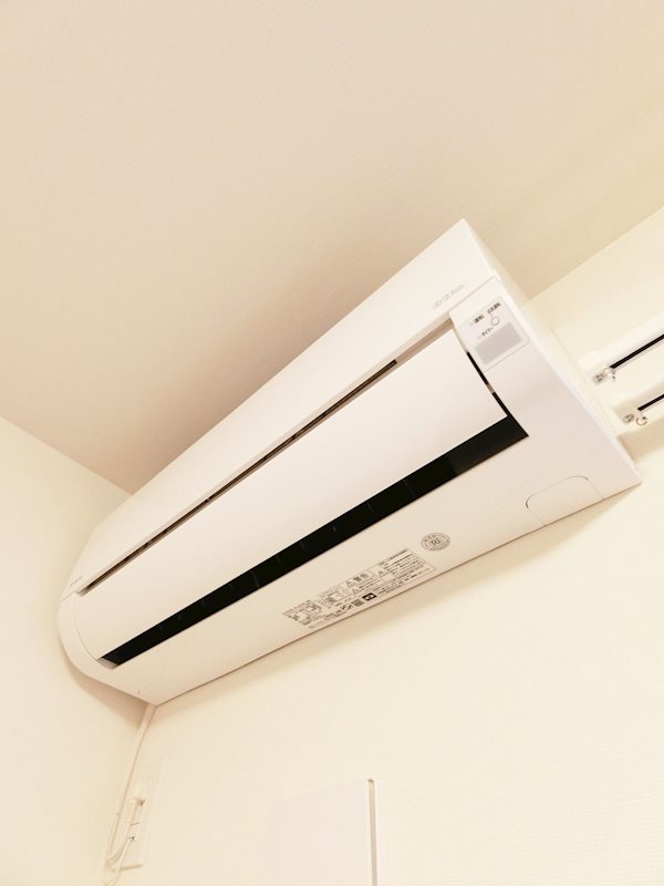 Caminito その他14