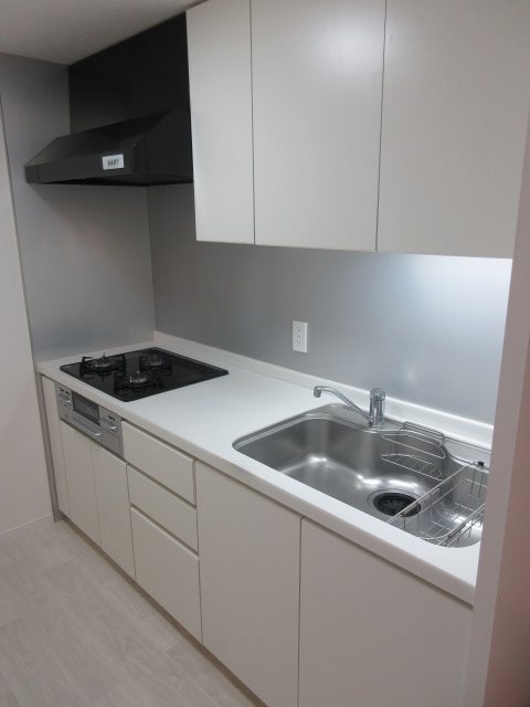 DENFLAT南平台 キッチン