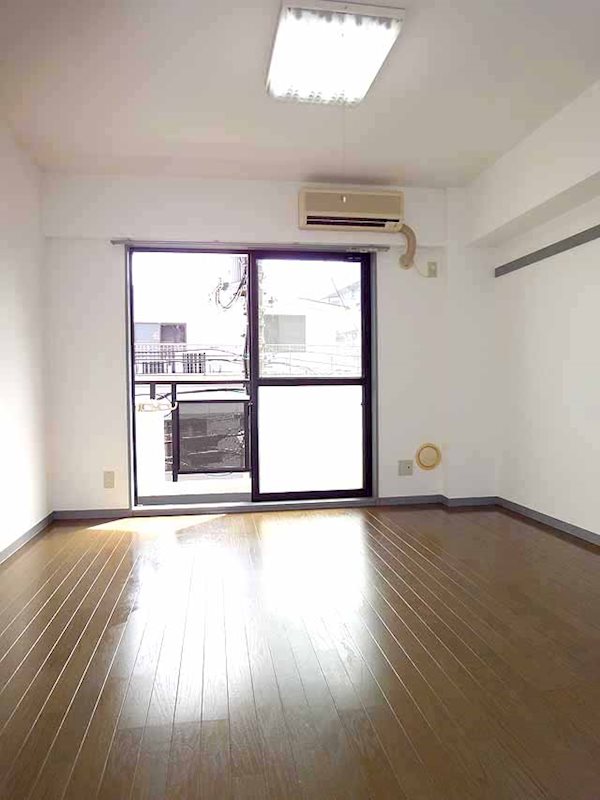 ステラトウショウ その他1