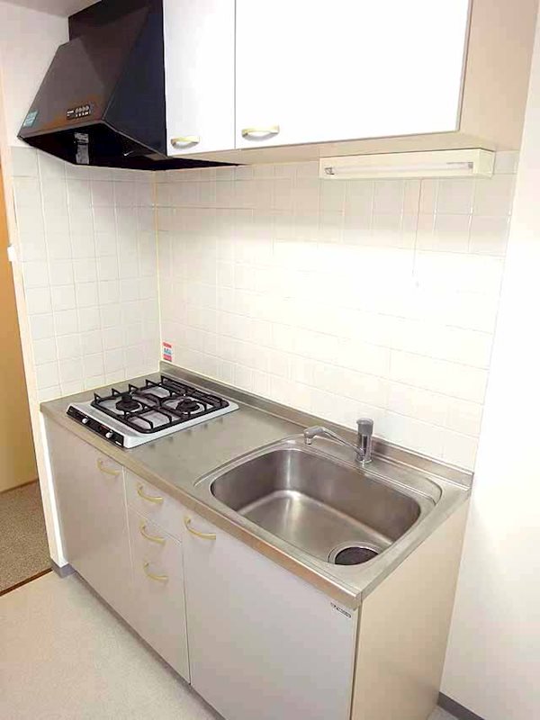 ステラトウショウ その他2