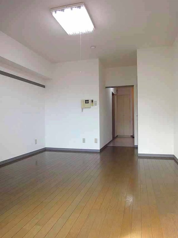 ステラトウショウ その他3