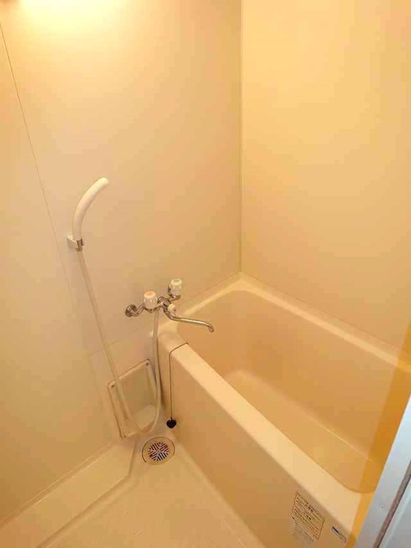 ステラトウショウ その他4