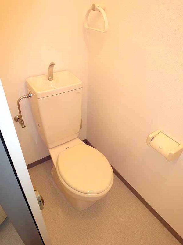 ステラトウショウ その他5