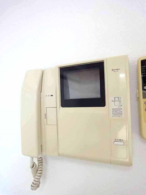 ステラトウショウ その他9