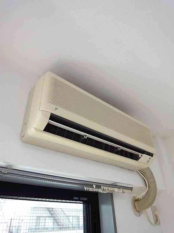 ステラトウショウ その他10