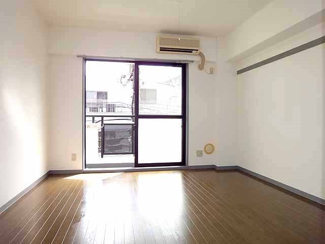 ステラトウショウ その他13