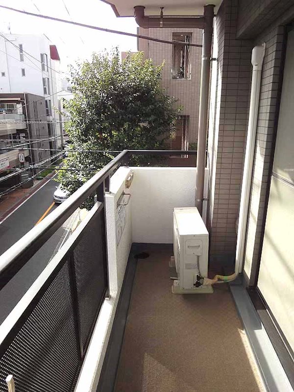 ステラトウショウ その他15