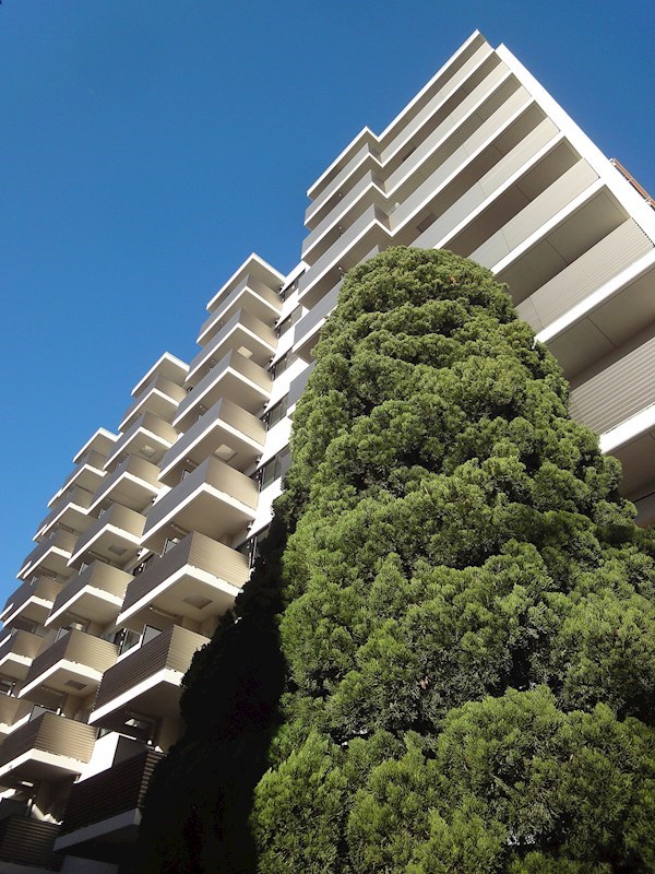 プライマル大井仙台坂  807号室 外観