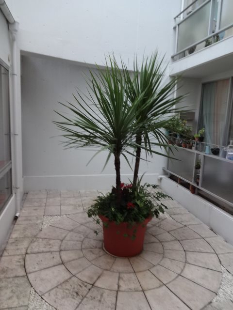 オリンピア その他5