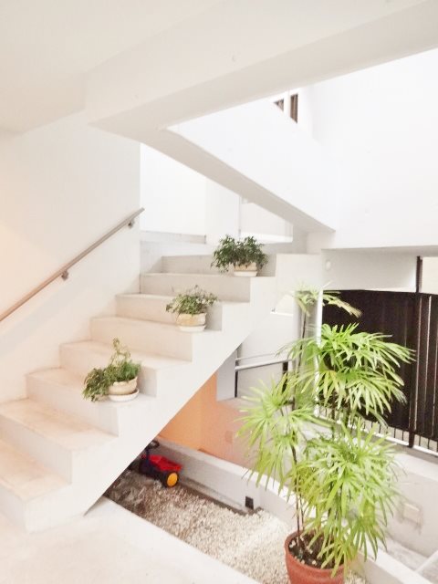 オリンピア その他6