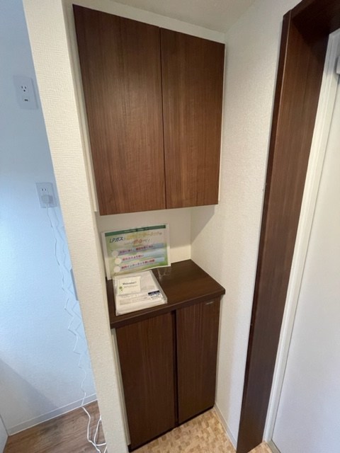 ザウェルメジロ  その他10