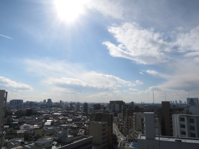 カスタリア大井町 その他12
