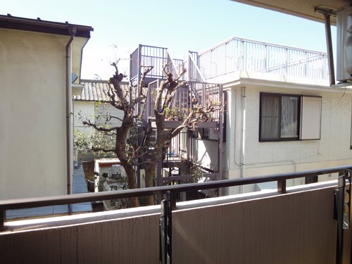 チャペルヒル東大井   その他5