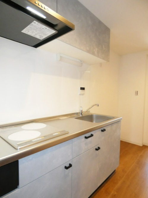 Kukuna Omori (ククナ　オオモリ） その他2