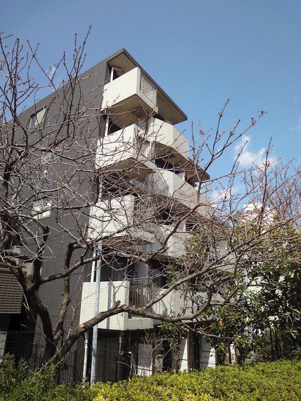 ラグジュアリーアパートメント品川シーサイド その他10