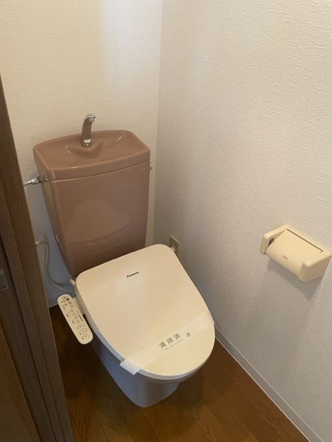 ステラK その他2