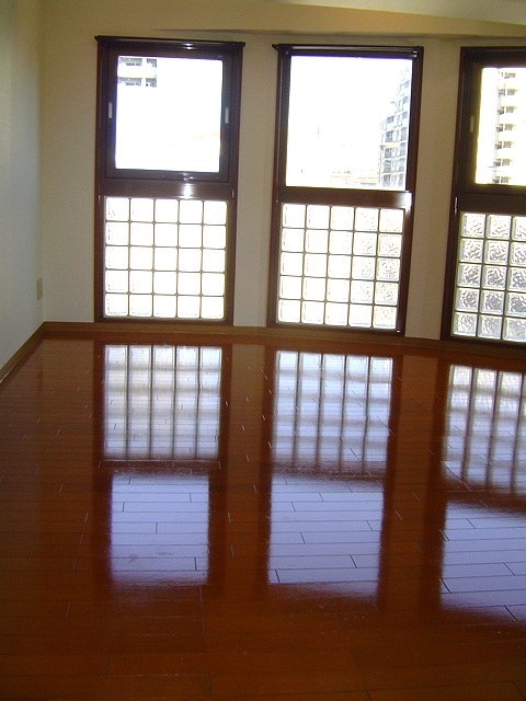 グランド・ガーラ南大井 その他1