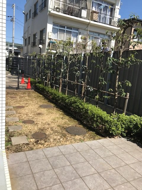 フレンシア玉川田園調布 その他9