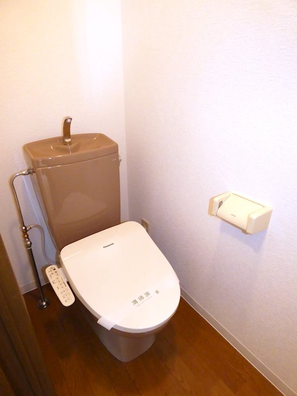 ステラK その他7