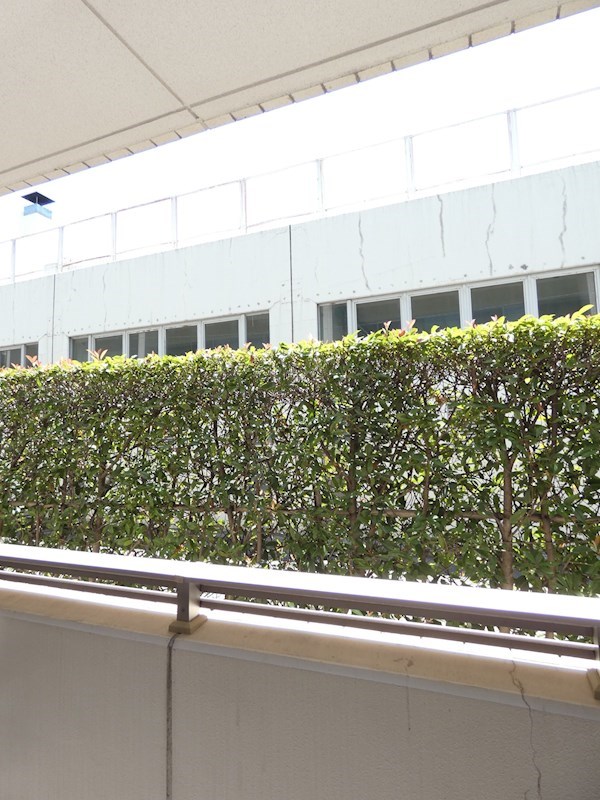 フレンシア南品川 その他6