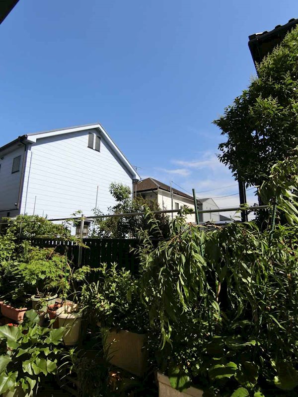 エーデルワイス その他6