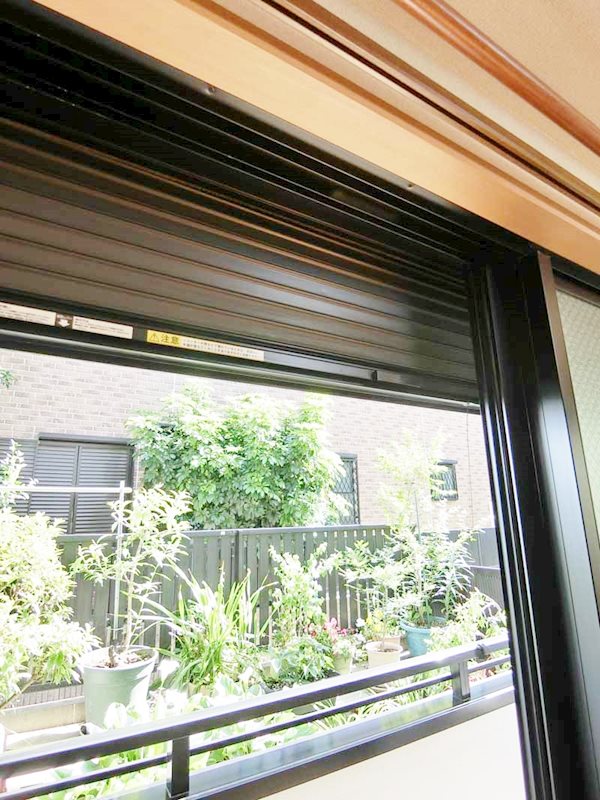 エーデルワイス その他12