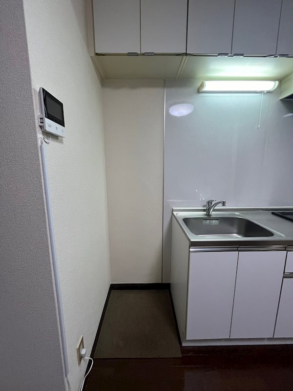 ハイムピーコック その他10