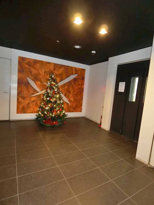 ドゥーエ大森 その他10