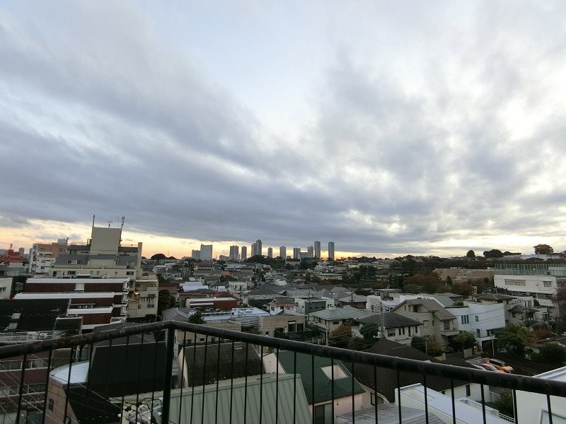 田園ロイヤルハイツ その他3