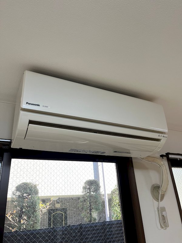 ステラK その他10