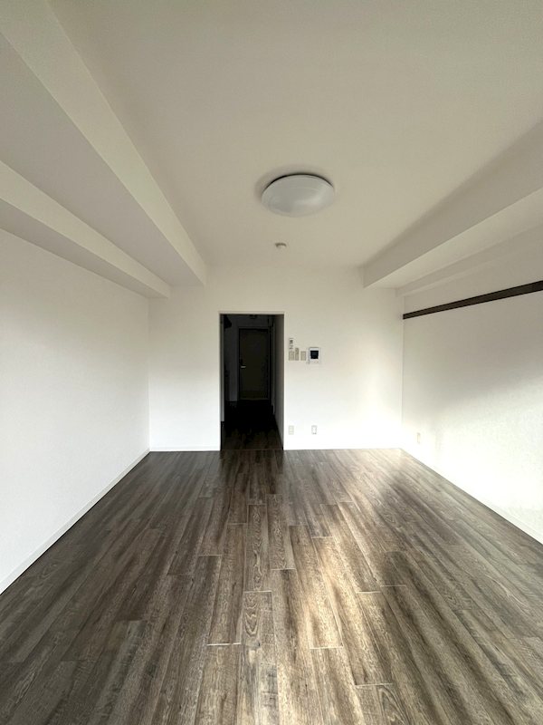 ステラトーショウ  その他1