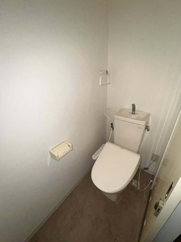 ステラトーショウ  その他2