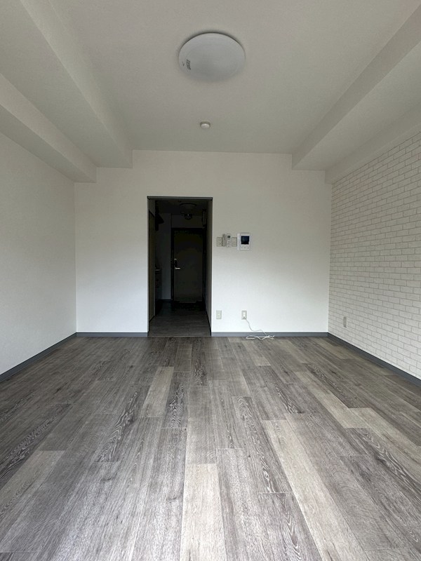 ステラトーショウ  その他2