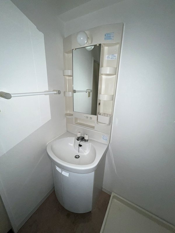 ステラトーショウ  その他3