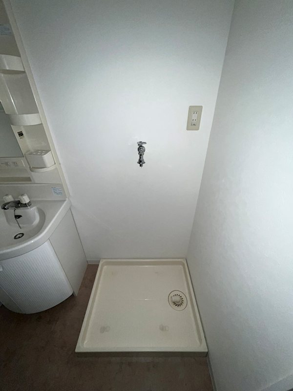 ステラトーショウ  その他4