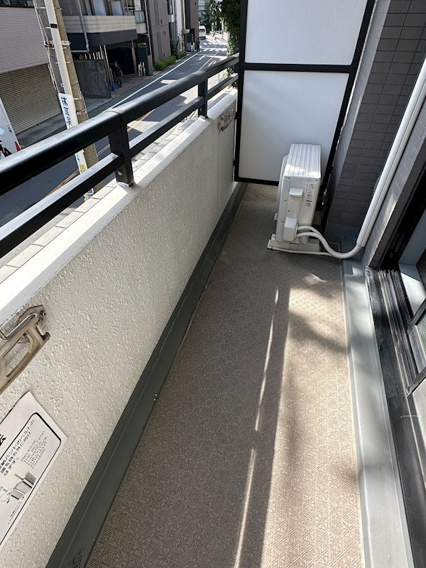 ステラトーショウ  その他4