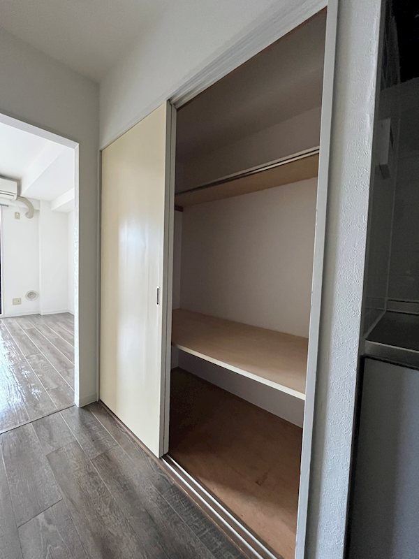 ステラトーショウ  その他5