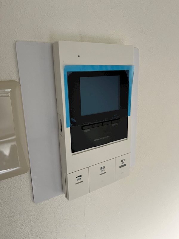 ステラトーショウ  その他6